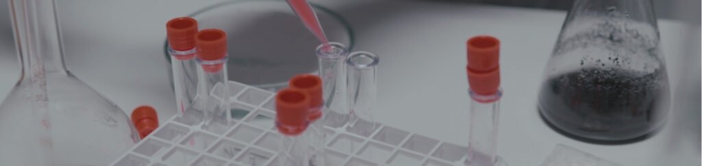 stabilite testi
